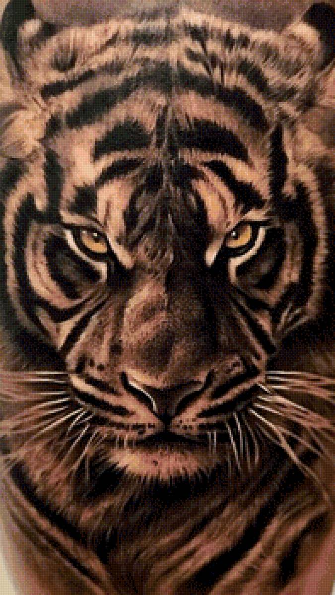 Тигр - хищник, животные, тигр - предпросмотр