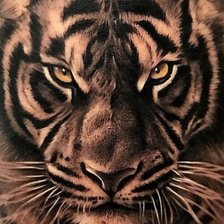 Схема вышивки «Тигр»