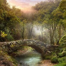 Схема вышивки «№2551223»