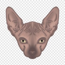 Схема вышивки «Лысая кошка для сони»