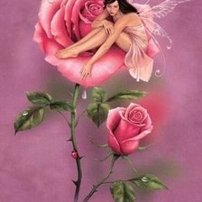 Схема вышивки «№2551477»