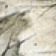 Предпросмотр схемы вышивки «Интересная птица» (№2552006)