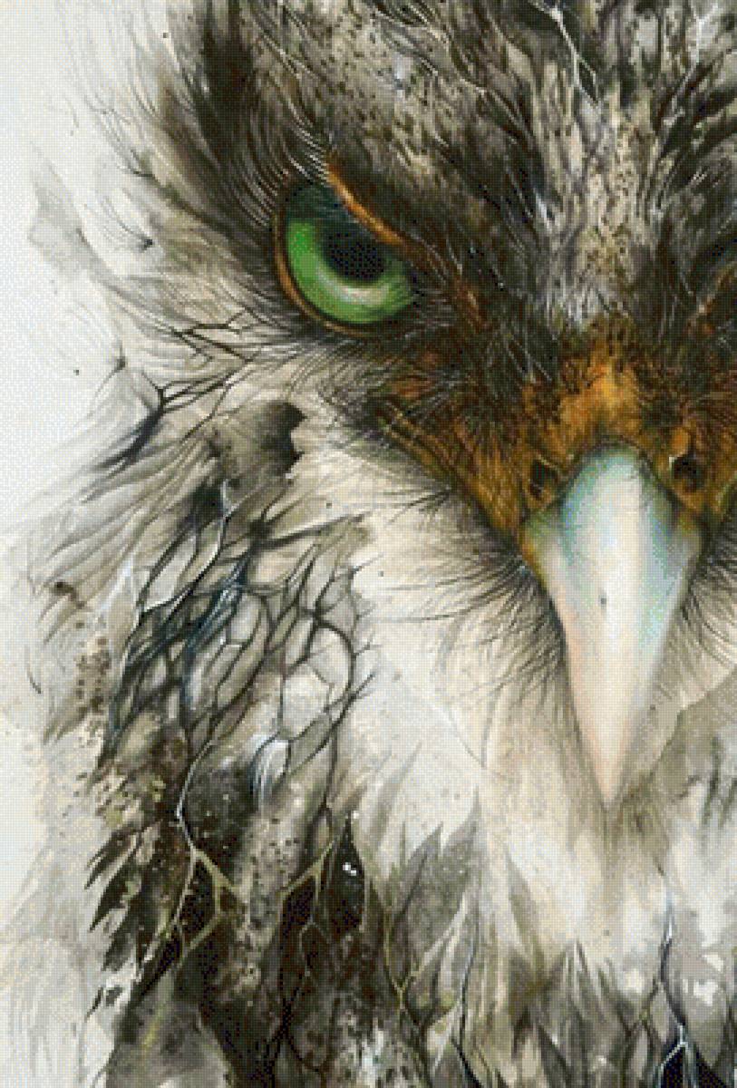 Интересная птица - необычно, животные, птица - предпросмотр