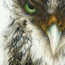 Схема вышивки «Интересная птица»