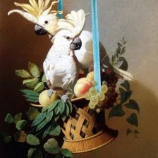 Схема вышивки «Какаду»