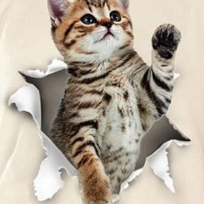 Схема вышивки «А,вот и я»