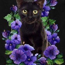 Схема вышивки «№2552379»