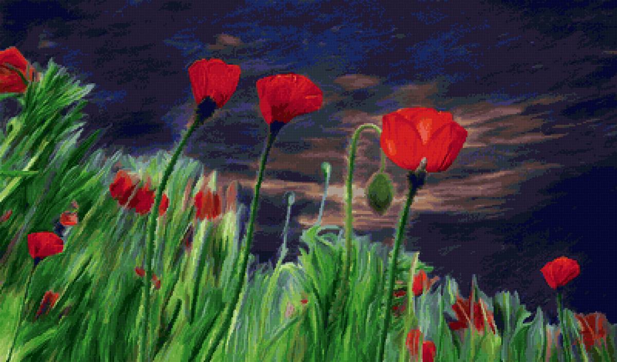 Маки в ночном поле - ночь, картина, поле, пейзаж, маки - предпросмотр