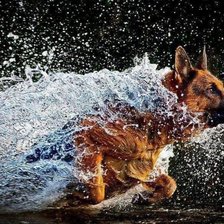 Схема вышивки «Немец»