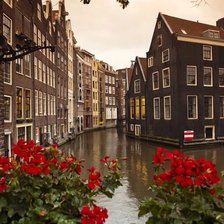 Схема вышивки «Голландия»