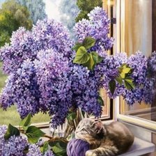 Схема вышивки «Котенок и сирень»