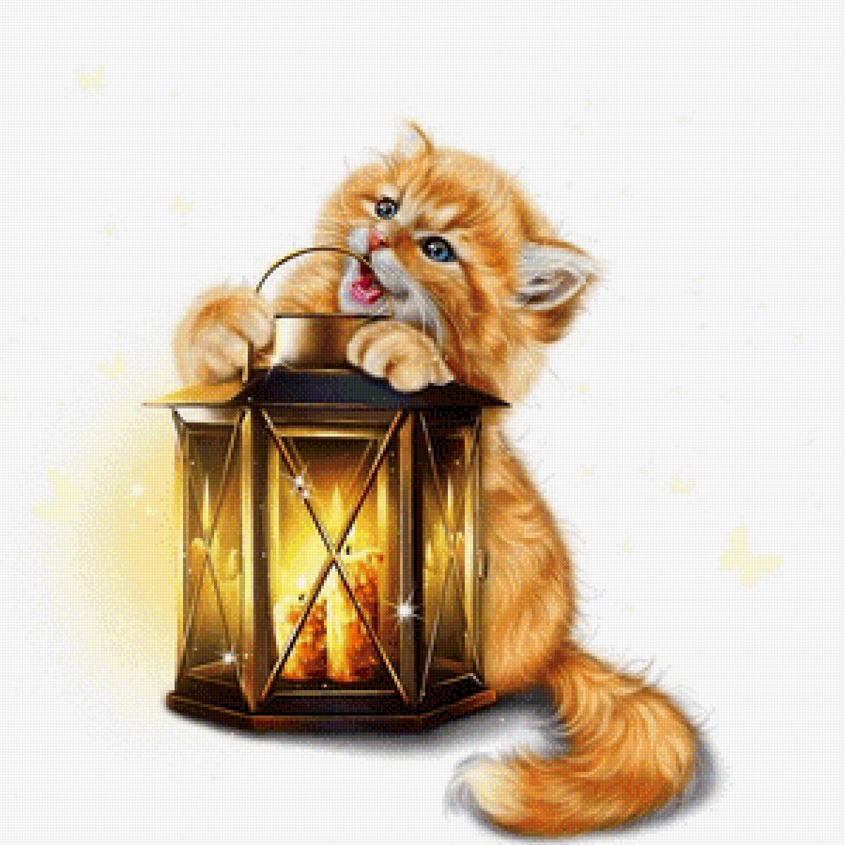 Котик с фонарём - кот, бабочки, фонарь - предпросмотр