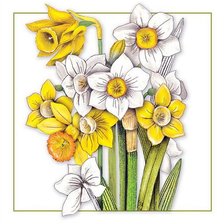 Схема вышивки «Нарциссы»