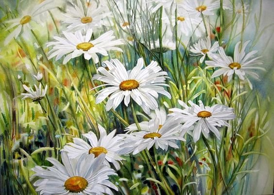 Ромашковое поле - ромашки, цветы - оригинал