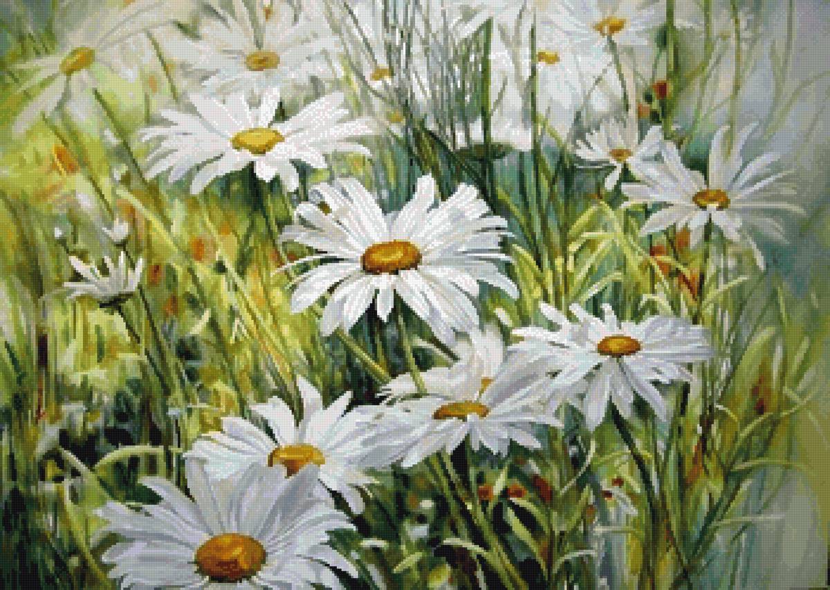 Ромашковое поле - ромашки, цветы - предпросмотр