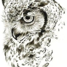 Схема вышивки «№2553419»