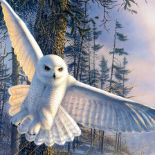 Схема вышивки «Совушка»