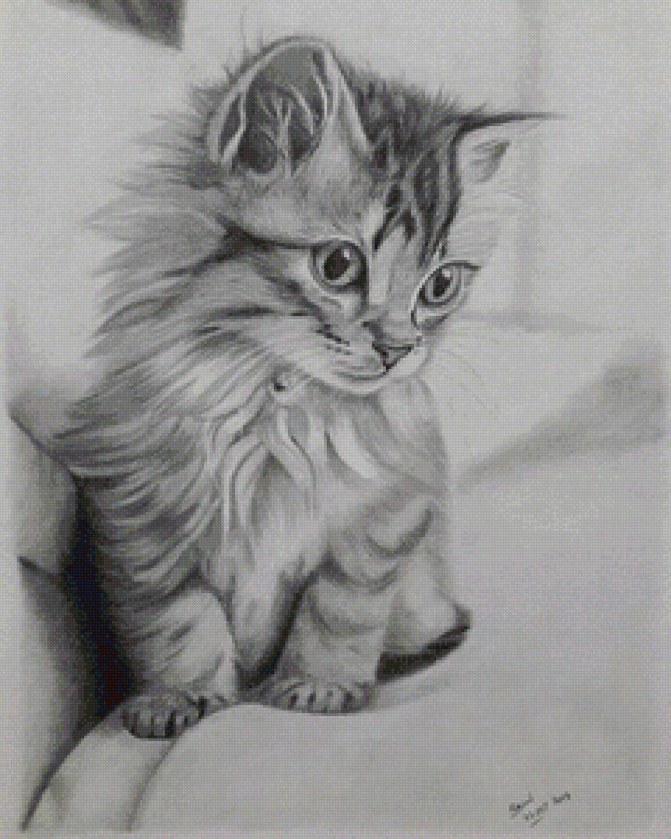 Котенок - кот - предпросмотр