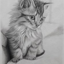 Схема вышивки «Котенок»