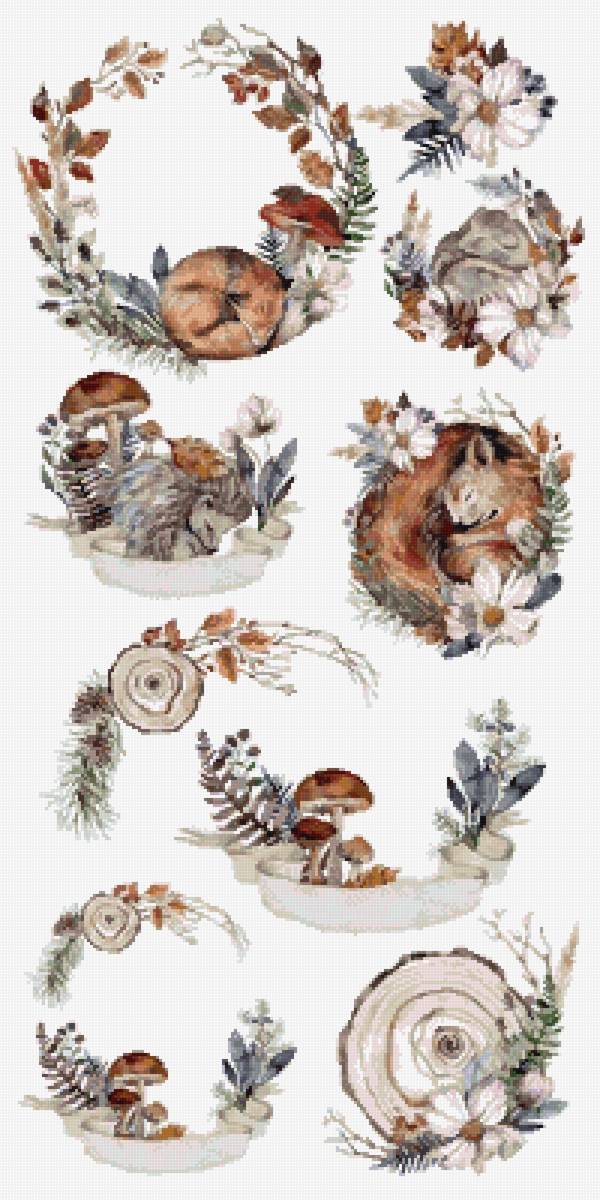 сэмплер осенний лес - спилы, лис, ветки, белка, сухоцветы, грибы - предпросмотр