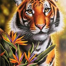 Схема вышивки «Тигр»