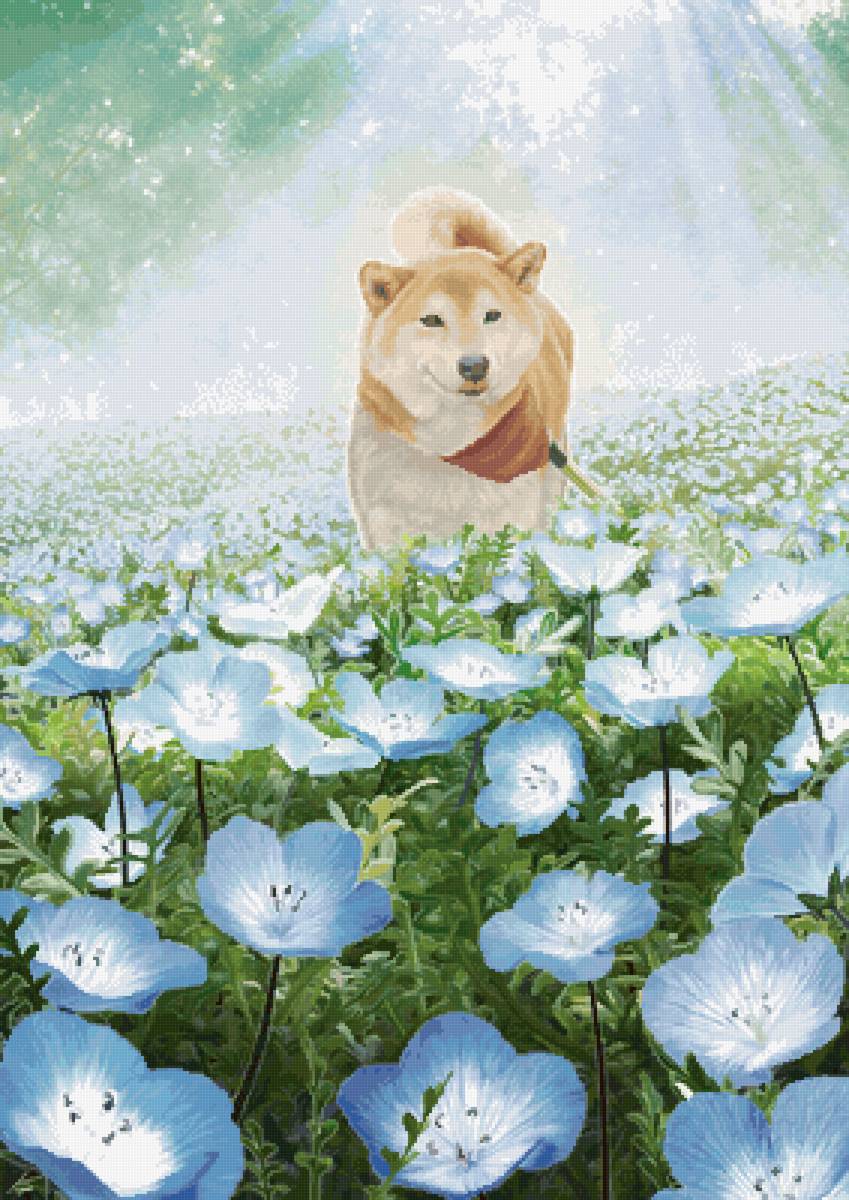 Собака в цветах - цветы, барвинок, солнце, собака, лето, поляна, лучи - предпросмотр