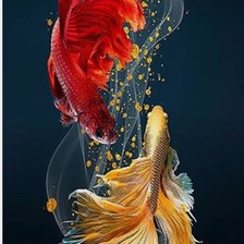 Схема вышивки «Piscis»