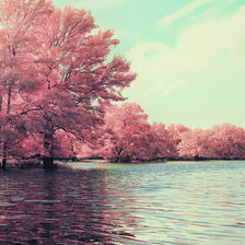 Схема вышивки «№2555851»