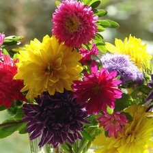 Схема вышивки «Астра»