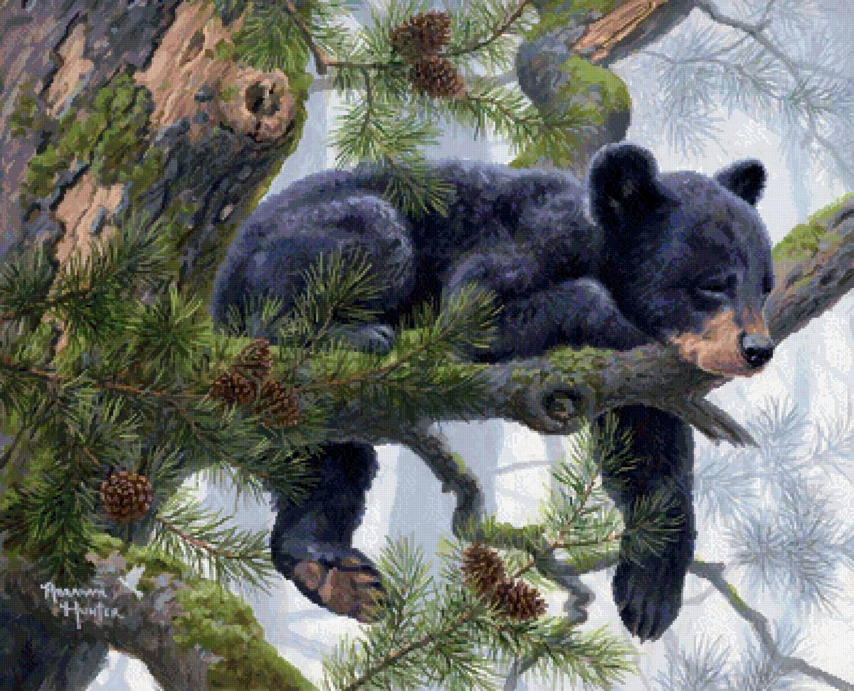 Абрахам Хантер - мишки, абрахам хантер, звери, природа - предпросмотр