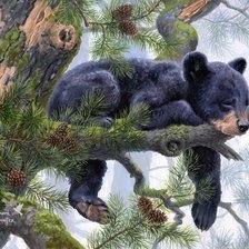 Схема вышивки «Абрахам Хантер»