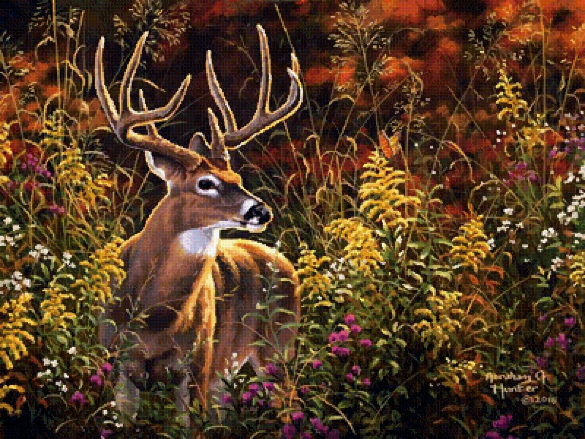 Абрахам Хантер - олень, природа, звери, абрахам хантер, олени - предпросмотр