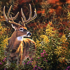 Схема вышивки «Абрахам Хантер»