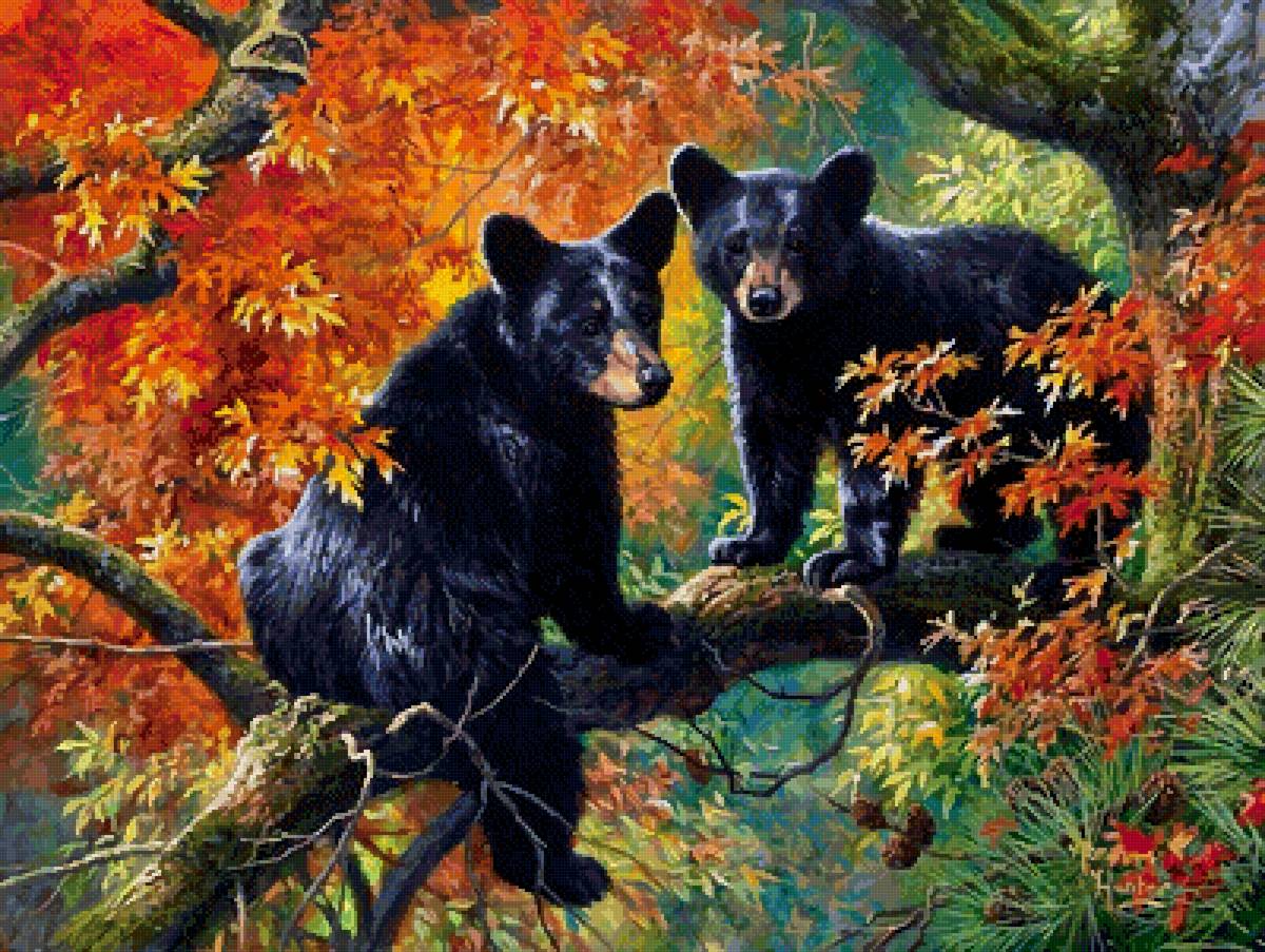 Абрахам Хантер - абрахам хантер, мишки, звери, природа - предпросмотр