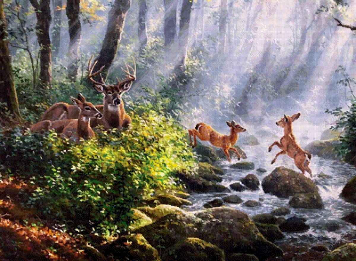 Абрахам Хантер - олень, абрахам хантер, олени, звери, природа - предпросмотр