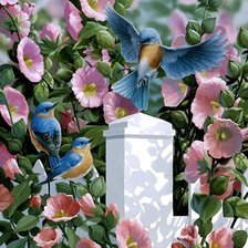 Схема вышивки «№2557107»