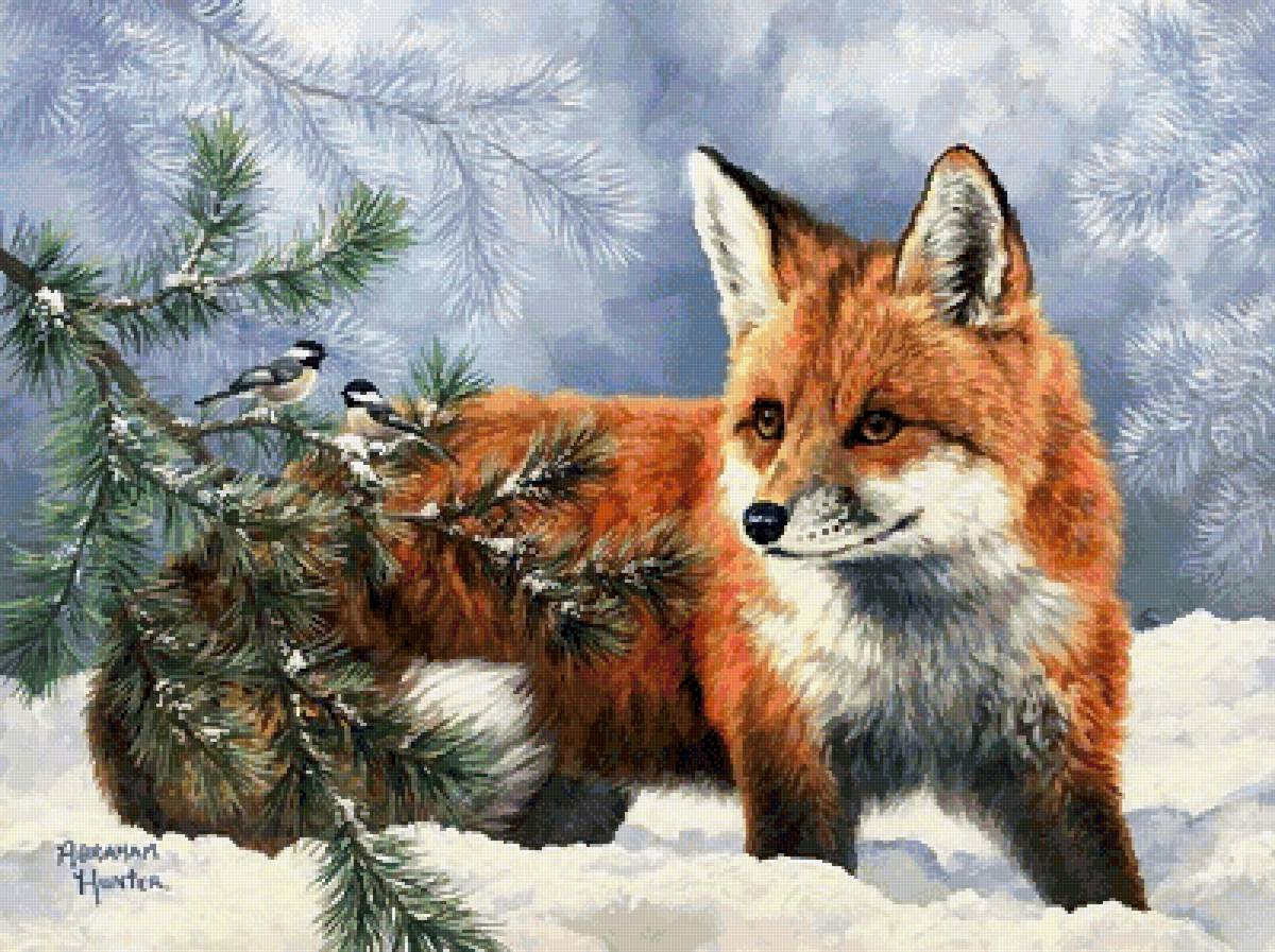 Абрахам Хантер - природа, лиса, звери, абрахам хантер - предпросмотр