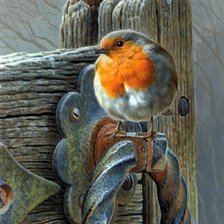 птица, акварель, пнк