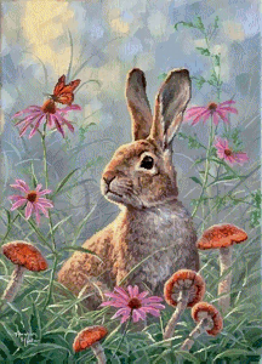 Абрахам Хантер - природа, абрахам хантер, зайчик, звери - предпросмотр