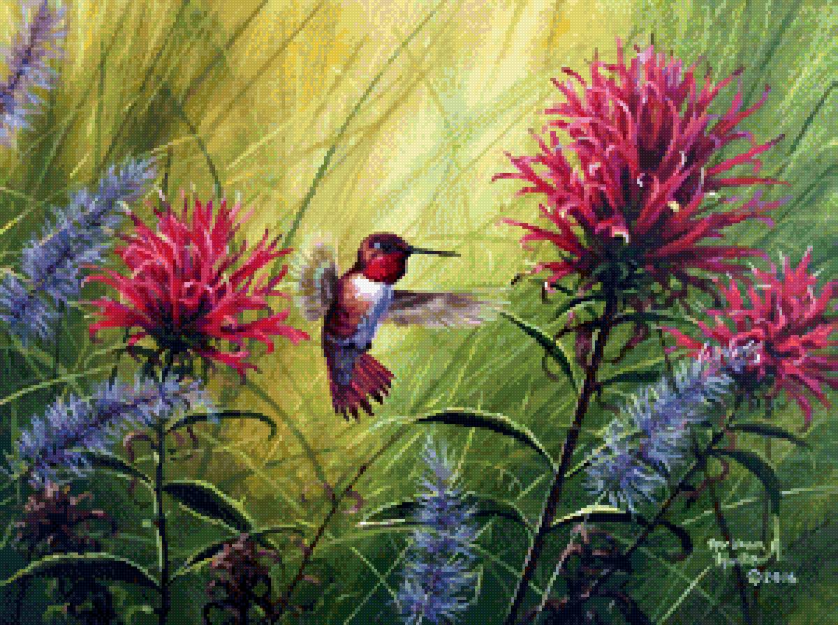 Абрахам Хантер - абрахам хантер, природа, птицы - предпросмотр