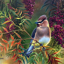 Схема вышивки «№2558443»