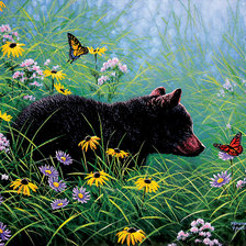 Схема вышивки «Абрахам Хантер»