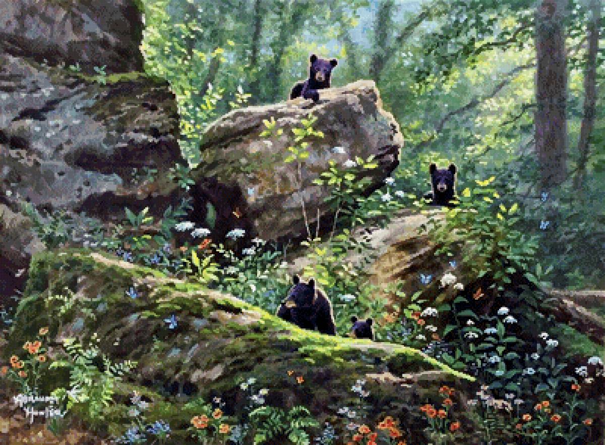 Абрахам Хантер - звери, мишки, природа, абрахам хантер - предпросмотр