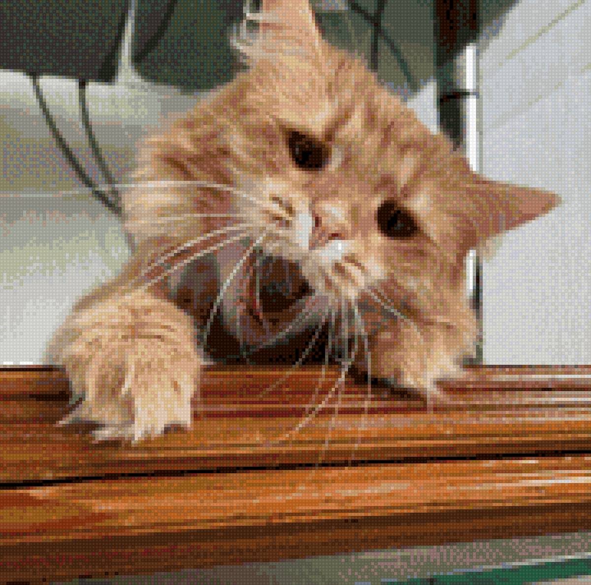 Молли 3 - киска - предпросмотр