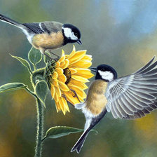 Схема вышивки «Абрахам Хантер»