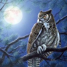 Схема вышивки «Абрахам Хантер»