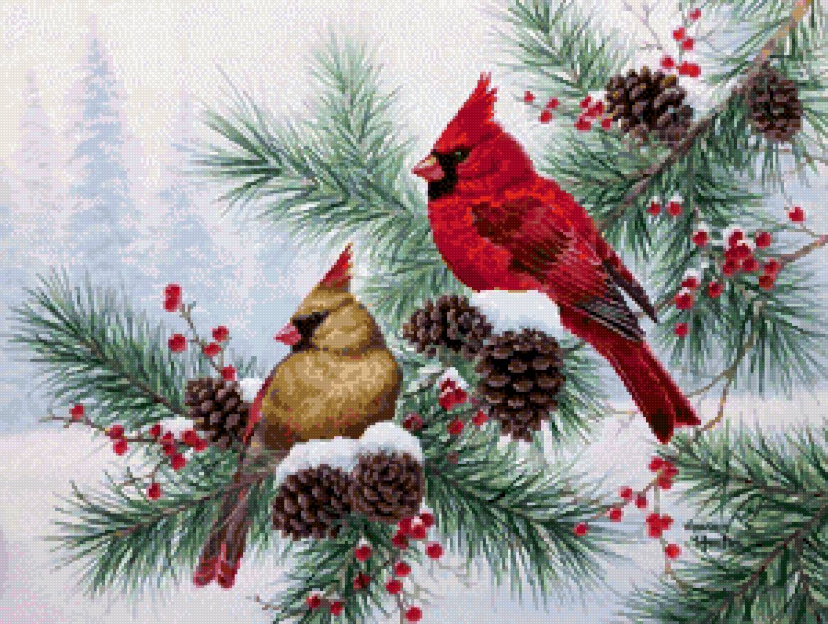 Абрахам Хантер - птицы, абрахам хантер, природа - предпросмотр