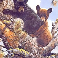 Схема вышивки «Карл Брендерс»