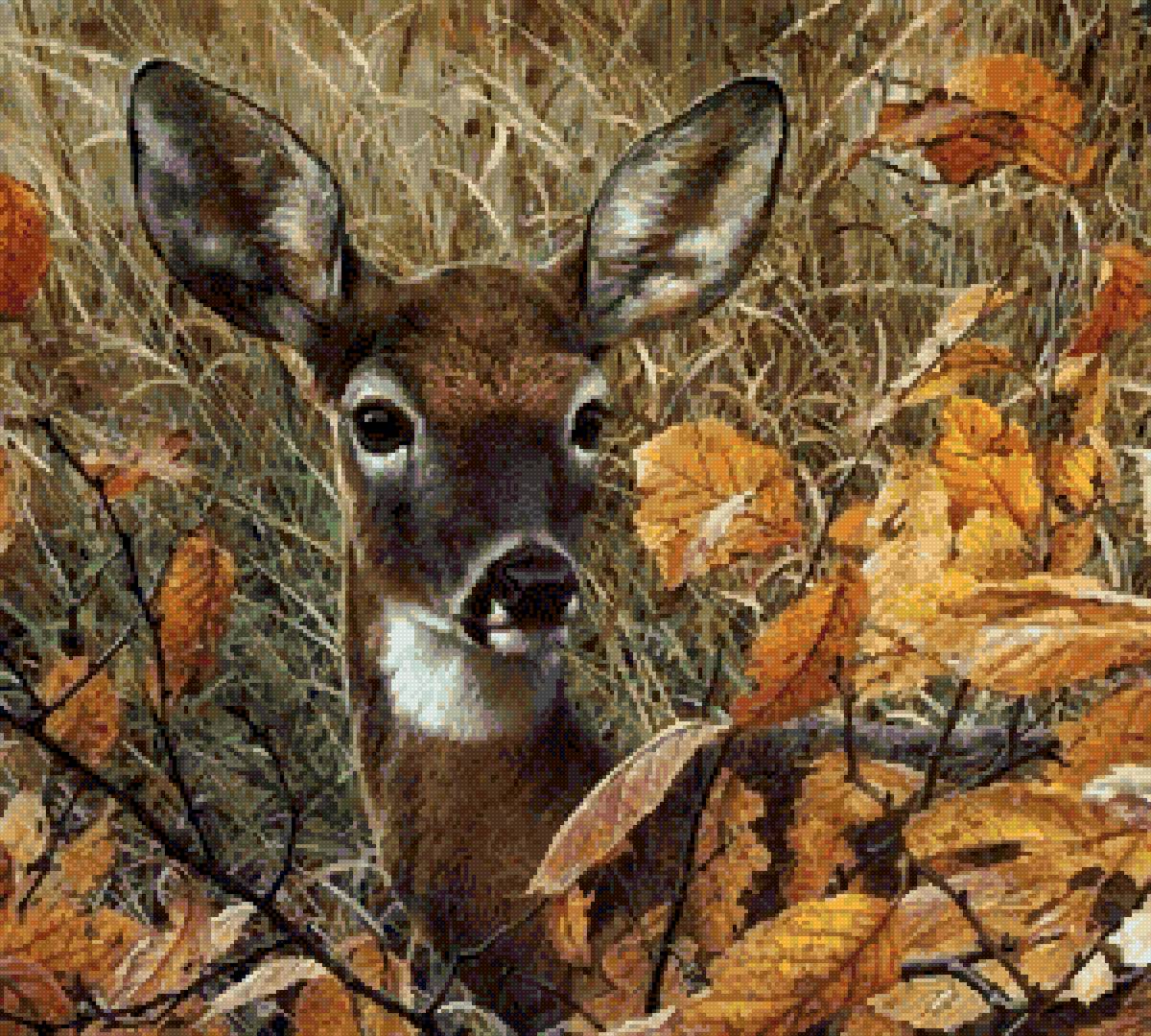 Карл Брендерс - природа, карл брендерс, олени, звери - предпросмотр