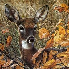 Схема вышивки «Карл Брендерс»